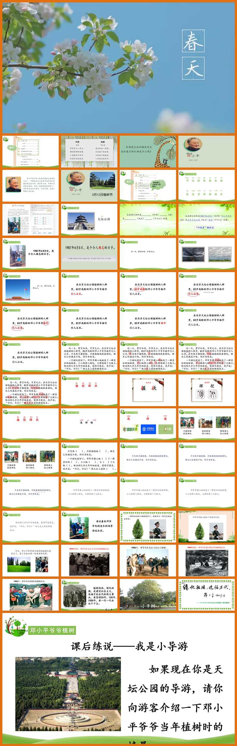 【下载】二年级语文《邓小平爷爷植树》课堂实录+课件+教案【李晓亮】