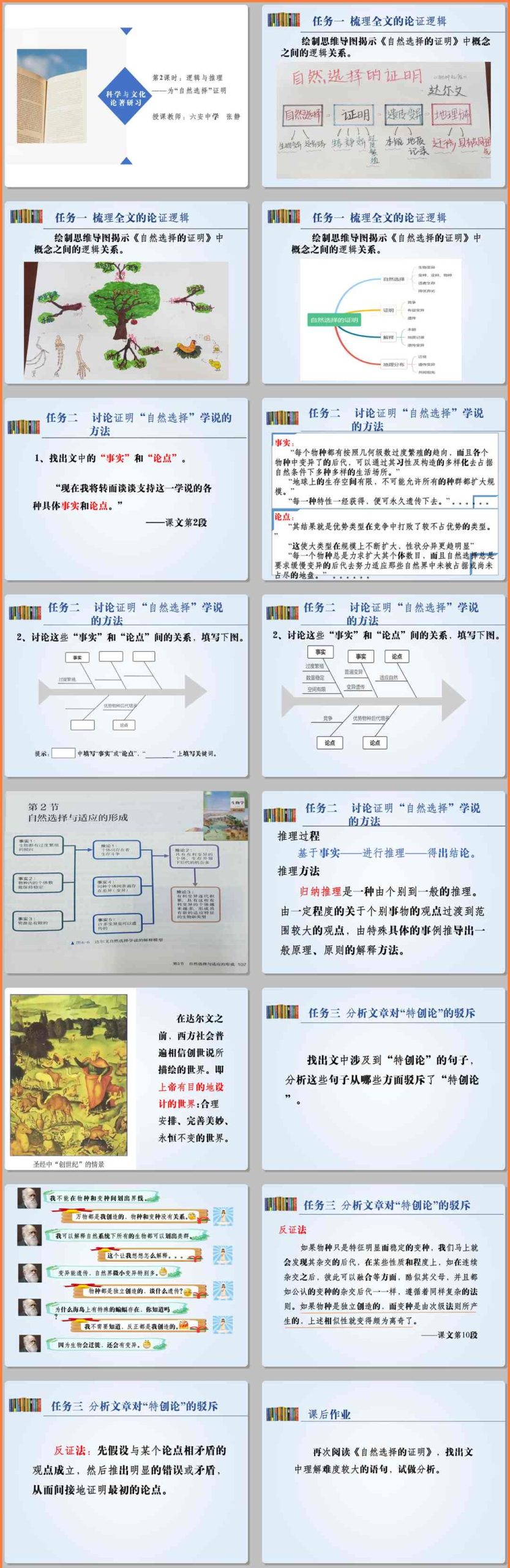 【下载】高中语文《逻辑与推理：为“自然选择”证明》第2课时实录+课件+教案【张静】