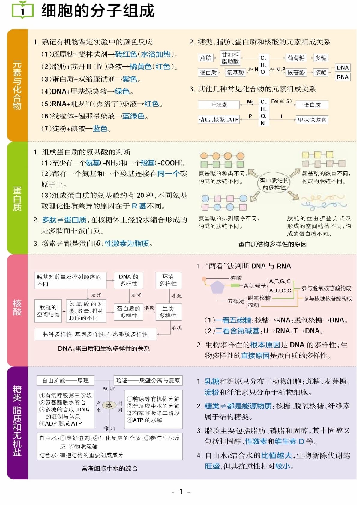 高中生物不过就这16张图16页