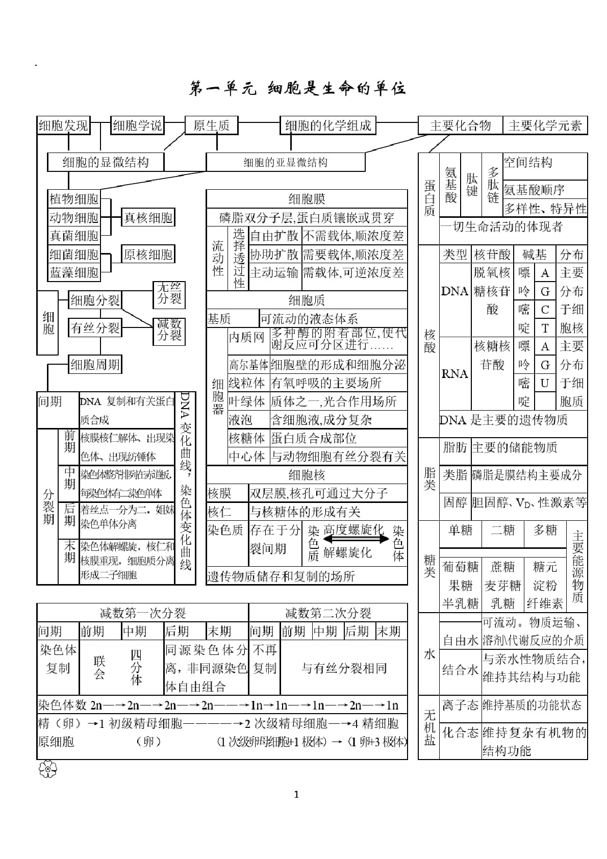 高中生物状元笔记16页