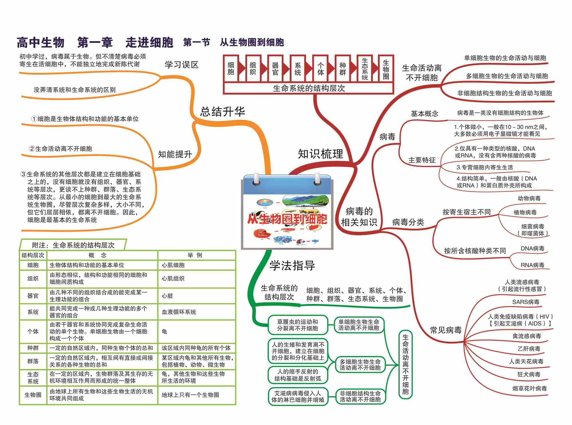 高中生物-思维导图(45张大图)