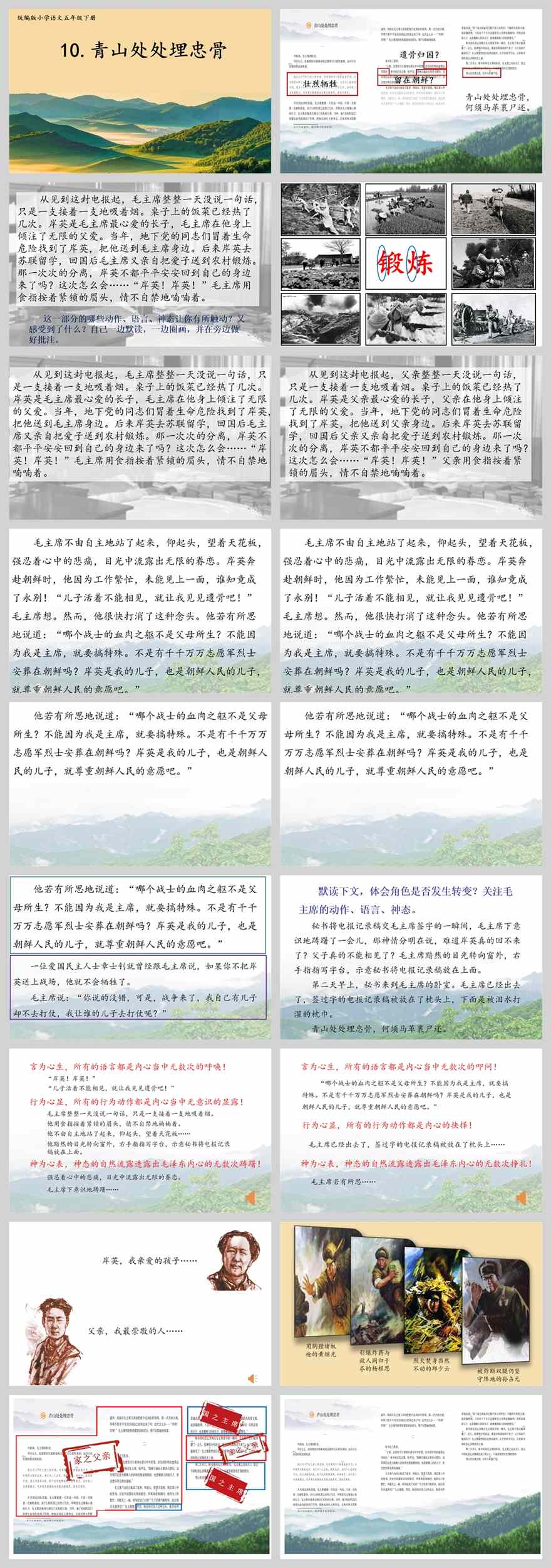 【下载】五年级语文《青山处处埋忠骨》课堂实录+ppt课件+教案【李培杨】