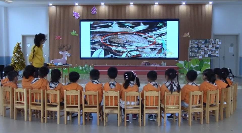 大班科学《动物保护色》视频+教案+课件+反思