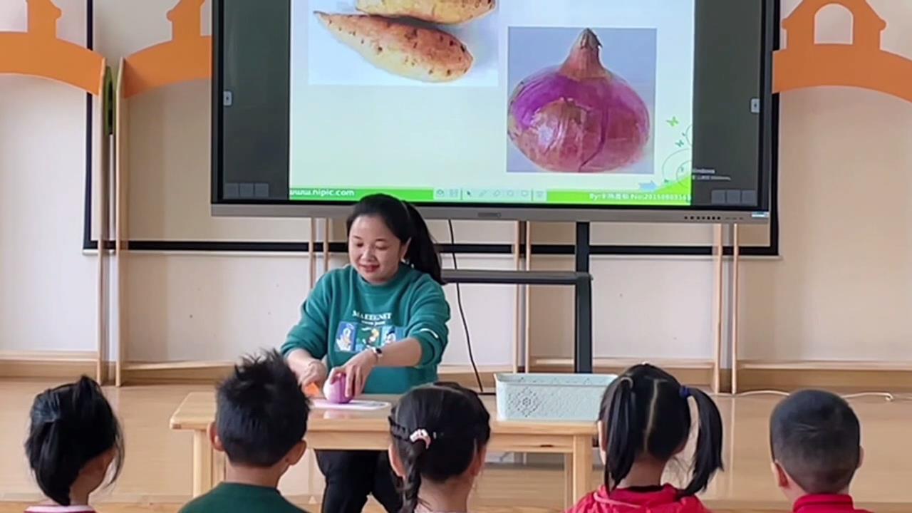 大班科学《横着切竖着切》视频+教案+课件+打印图