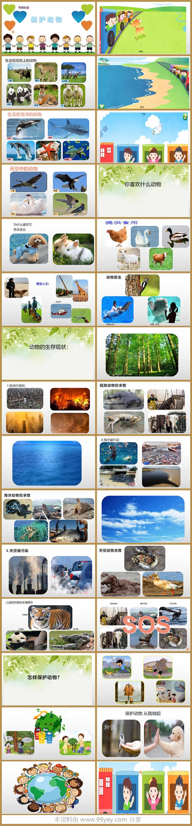 中班社会《保护动物》课件.jpg 中班社会《保护动物》课件.jpg