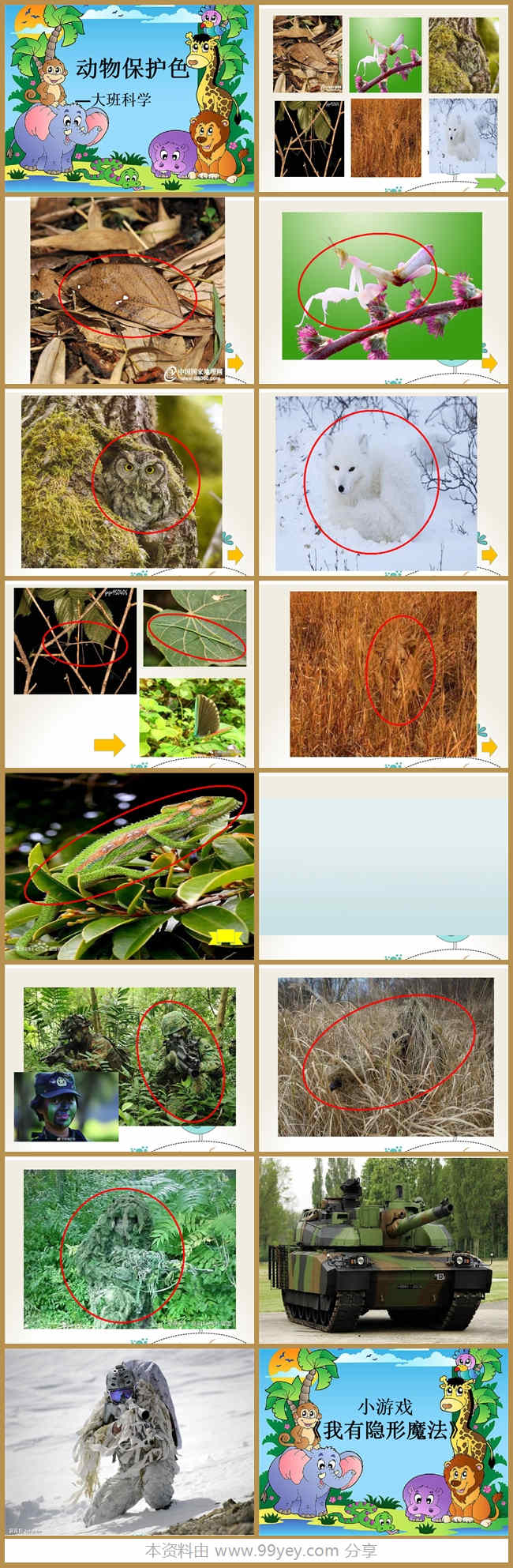 大班科学《动物保护色》课件.jpg 大班科学《动物保护色》课件.jpg