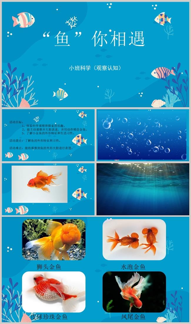 小班科学《”鱼“你相遇》课件_副本.jpg 小班科学《”鱼“你相遇》课件_副本.jpg